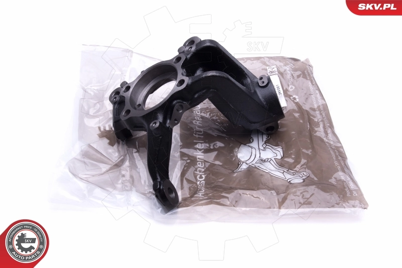 Steering Knuckle, wheel suspension